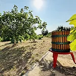 Bagudanch Costabravasi Dom wakacyjny Santa Cristina d'Aro